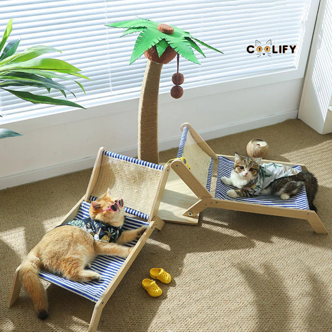 Tropical Coconut Lounger