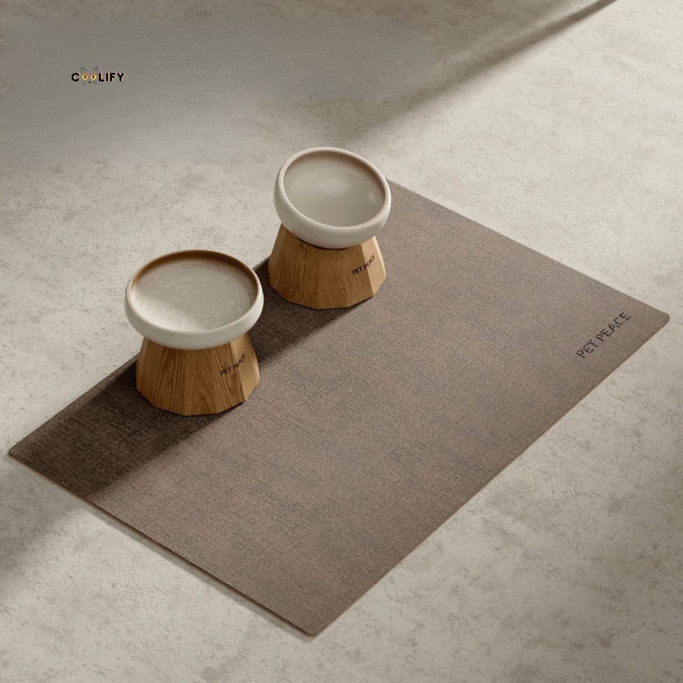 ZenBase Wooden Ceramic Pet Bowl Set