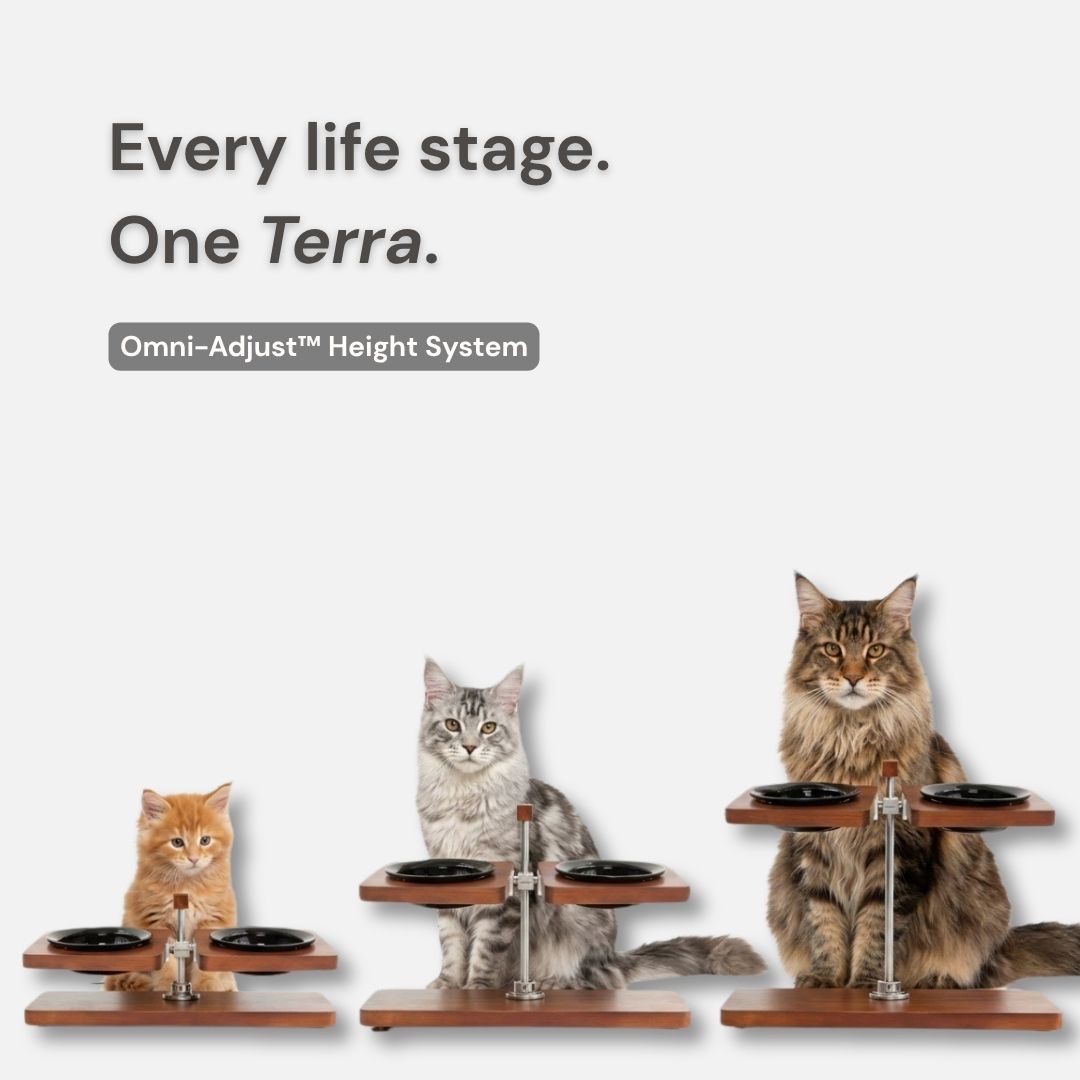 Terra Duo™ Food Bowls