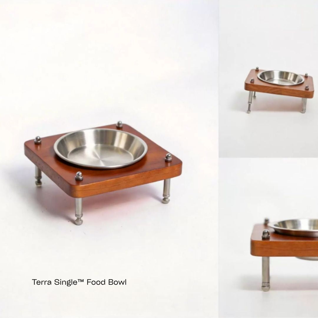 Terra™ Food Grade Bowl