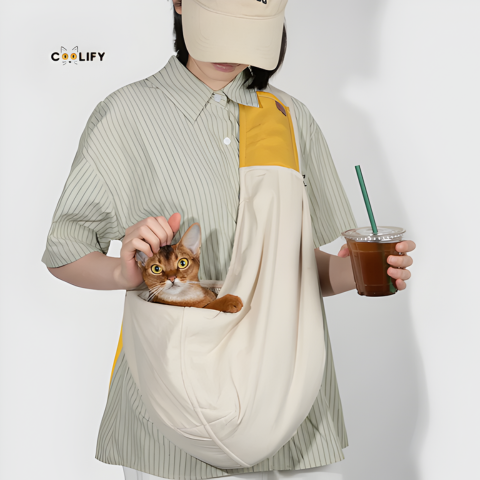 Coolify X HiDream Spring Sling Bag