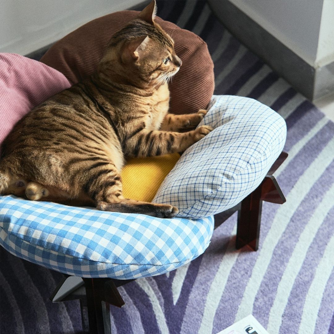 Lirio Curve Sofa - coolify design