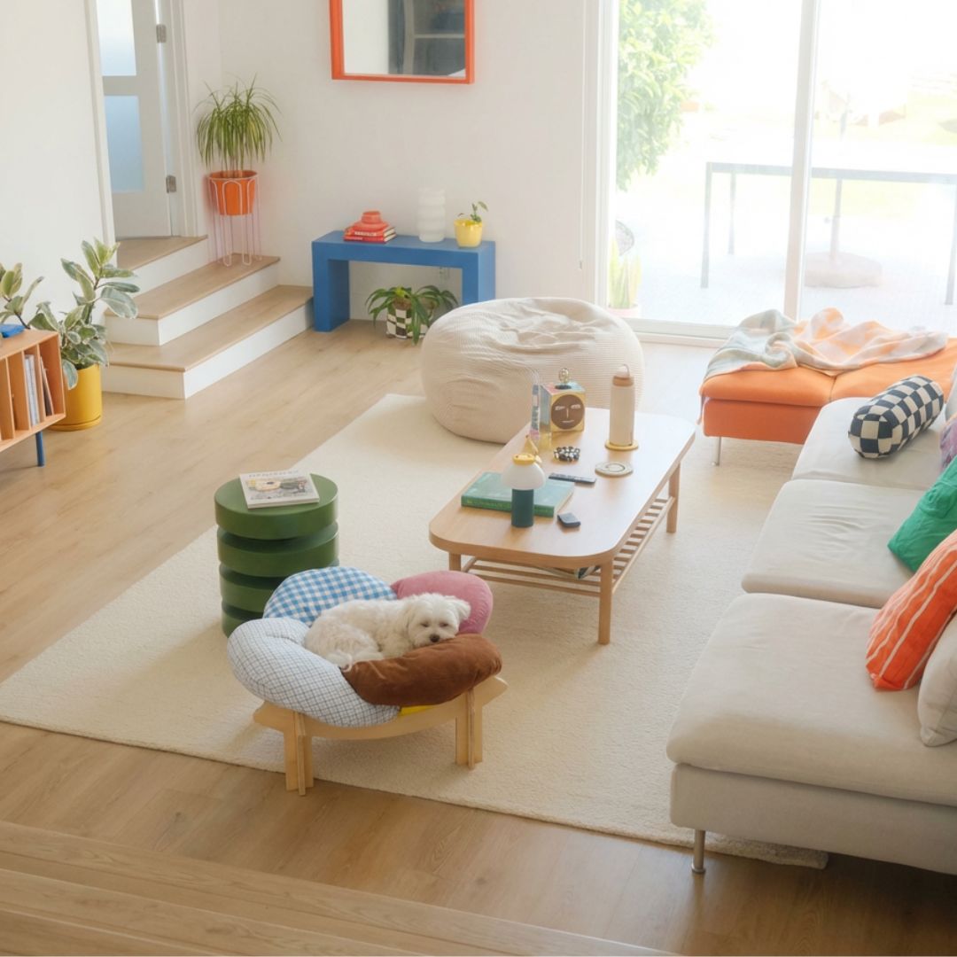 Lirio Curve Sofa - coolify design