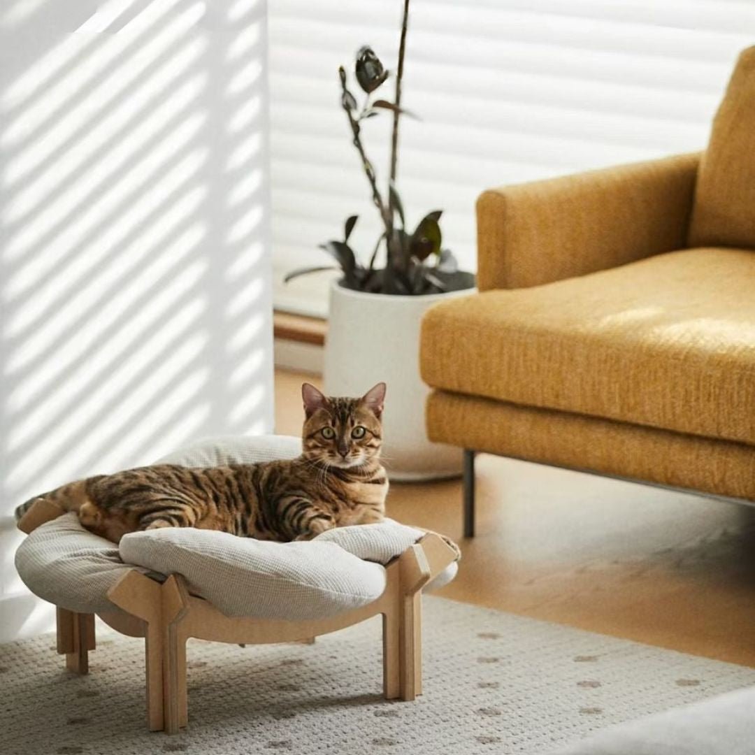 Lirio Curve Sofa - coolify design