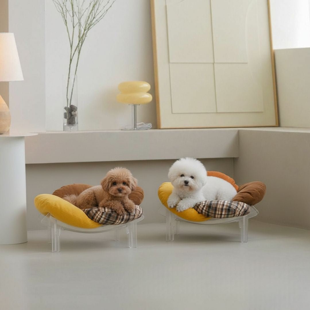 Lirio Curve Sofa - coolify design