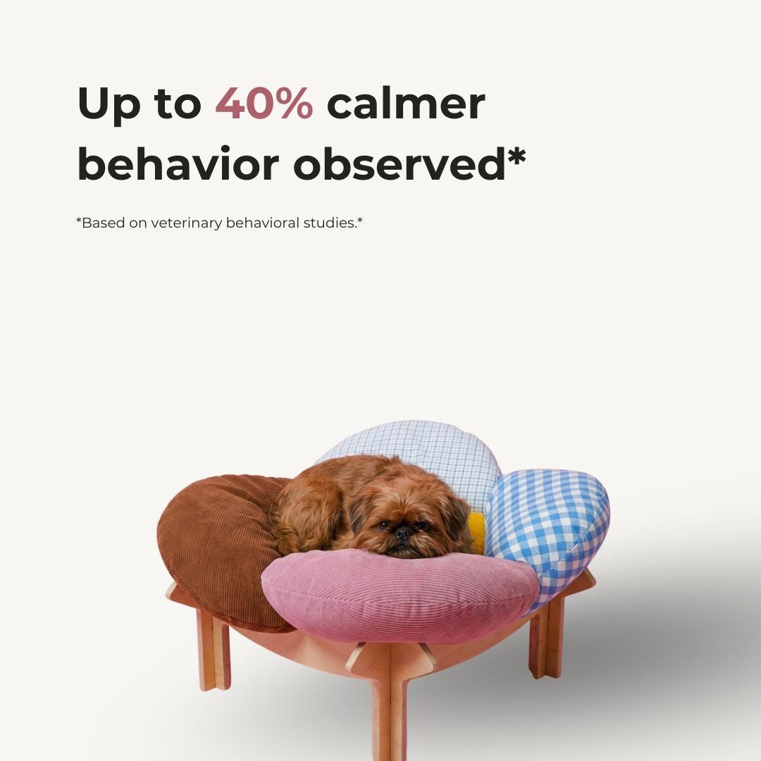 Lirio Curve Sofa - coolify design