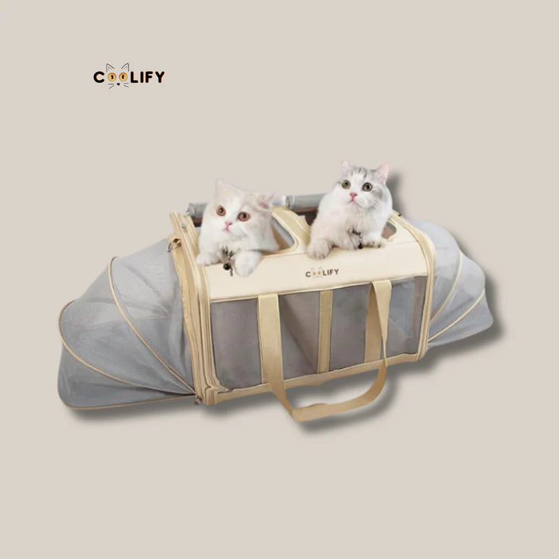 Amsterdam Adventure Pet Carrier Bag