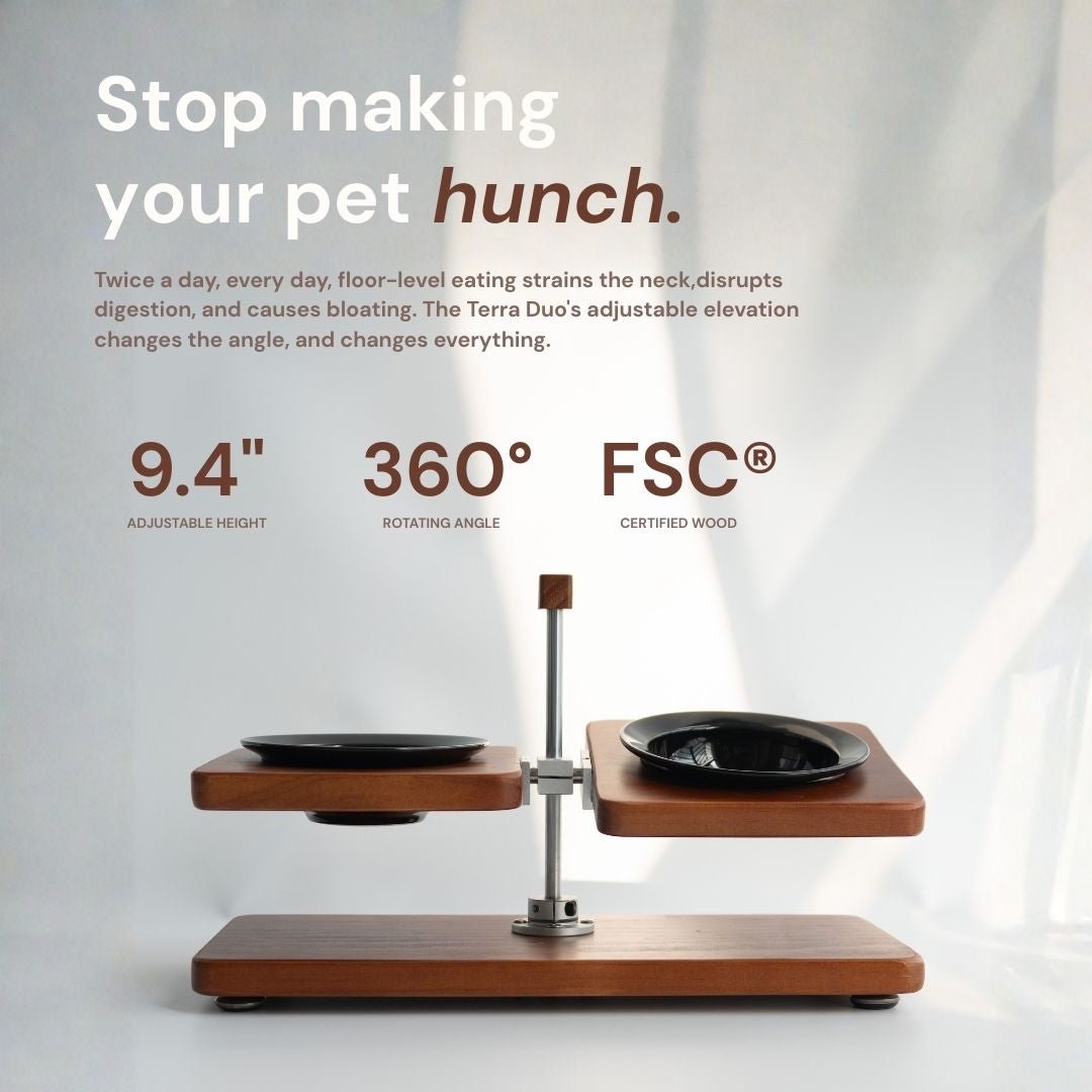 Terra Duo Food Bowls - coolify design