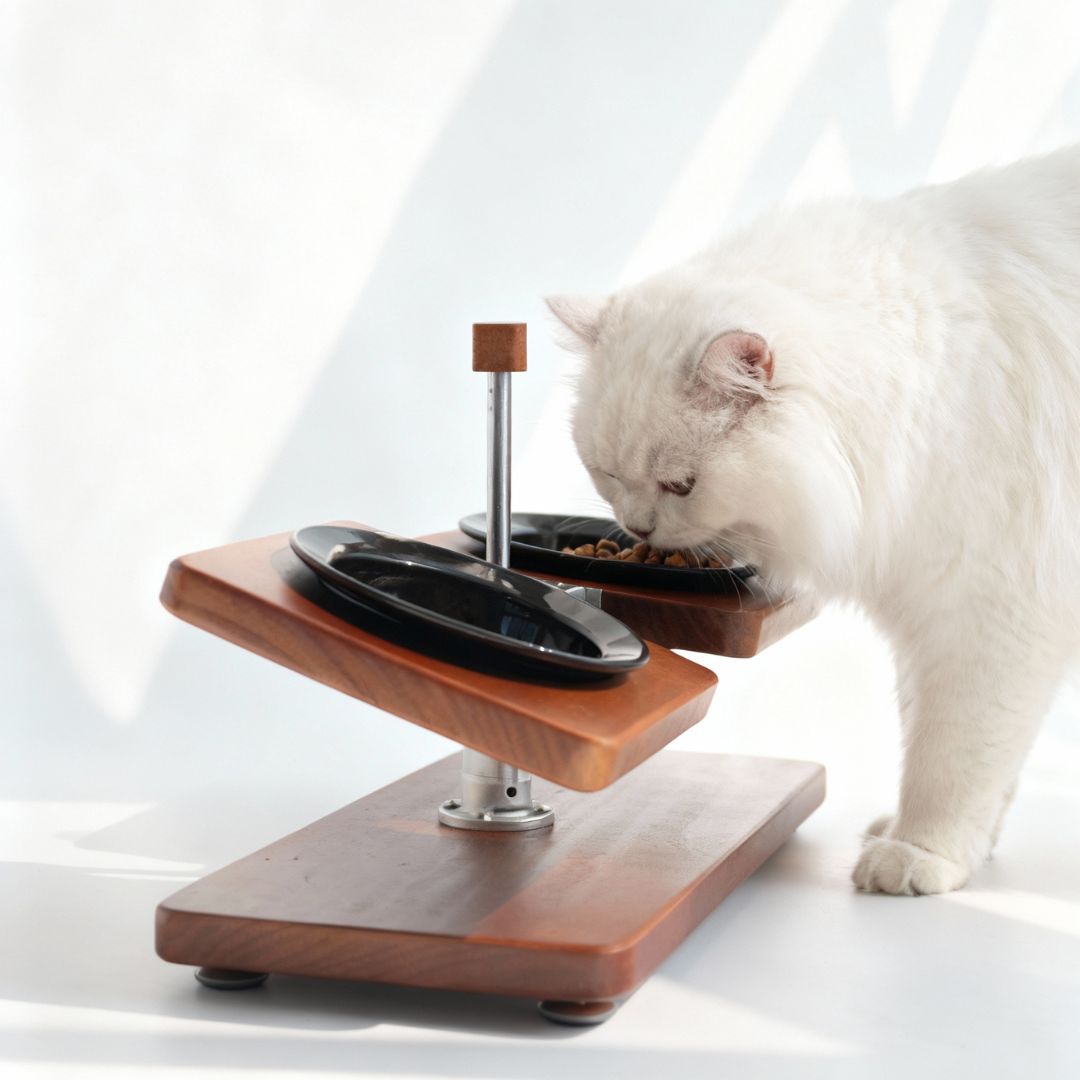 Terra Duo Food Bowls - coolify design