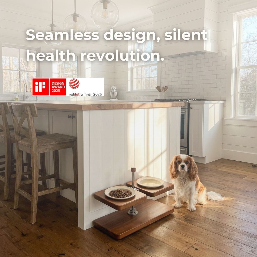 Terra Duo Food Bowls - coolify design