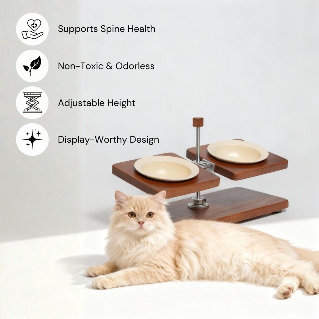 Terra Duo Food Bowls - coolify design