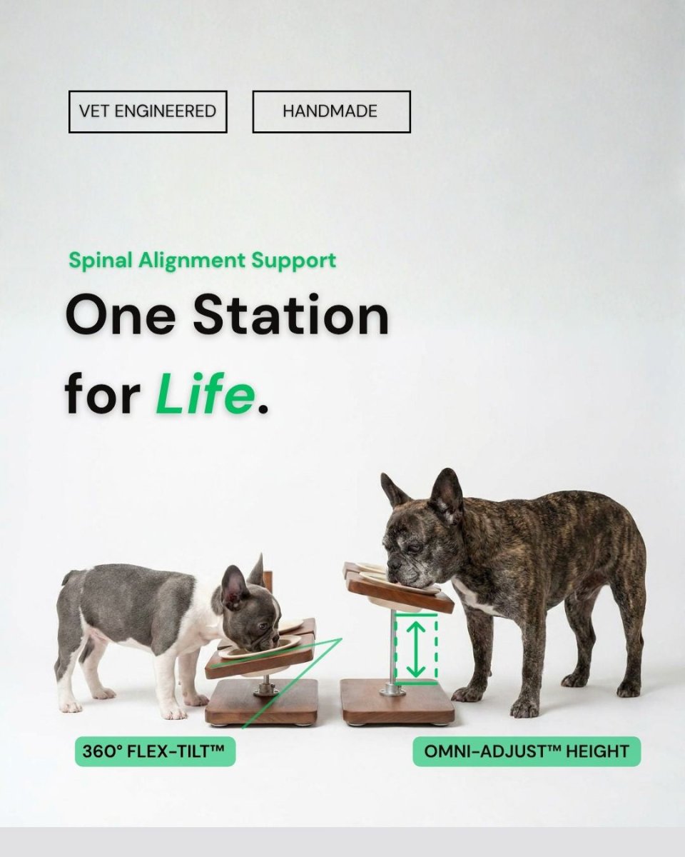 Terra Duo™ Food Bowls - coolify design