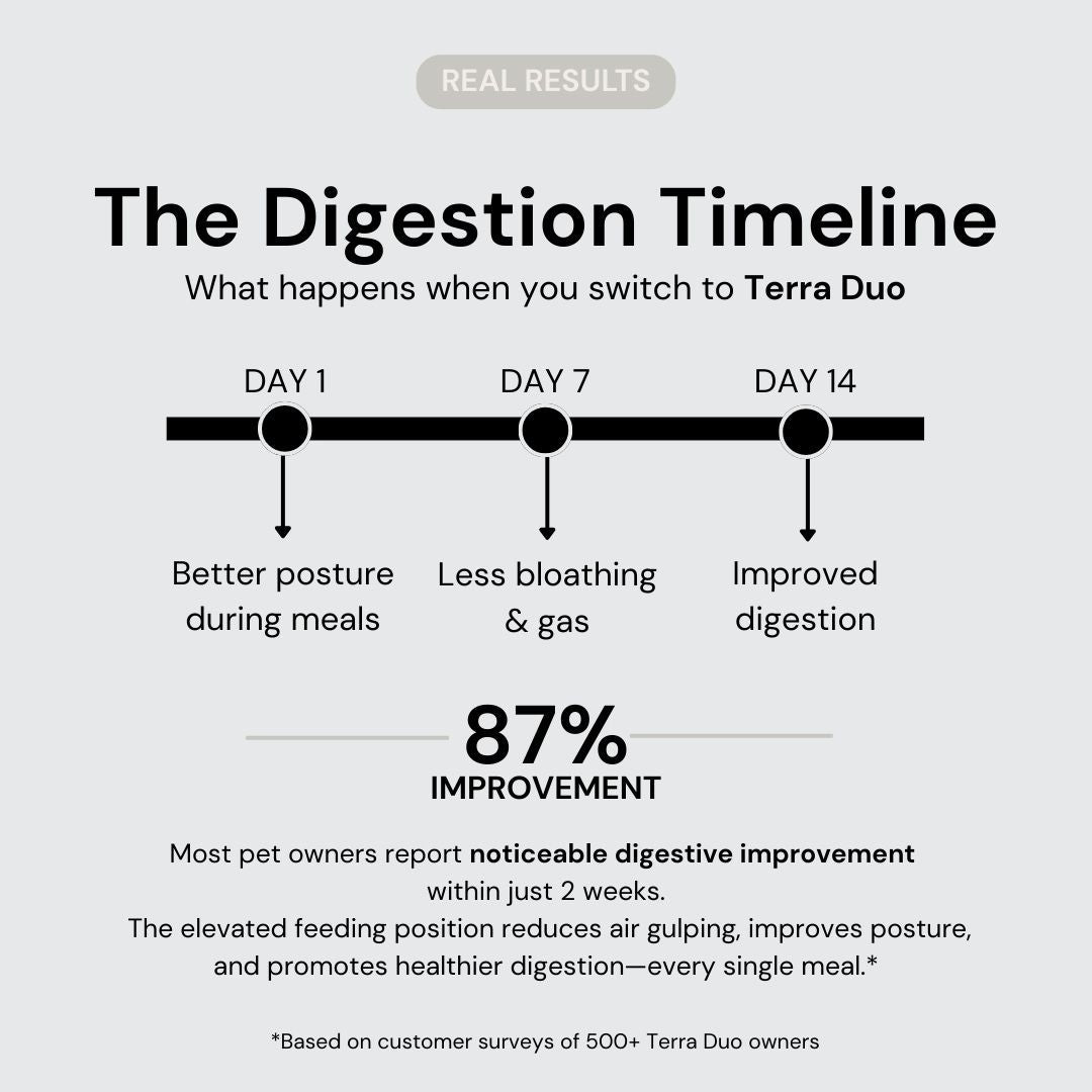 Terra Duo Food Bowls - coolify design