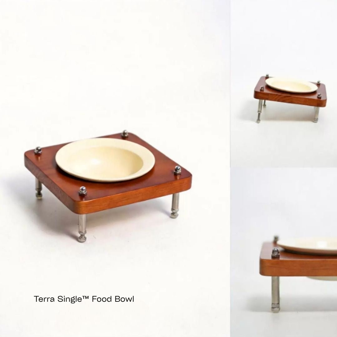 Terra™ Food Grade Bowl - coolify design