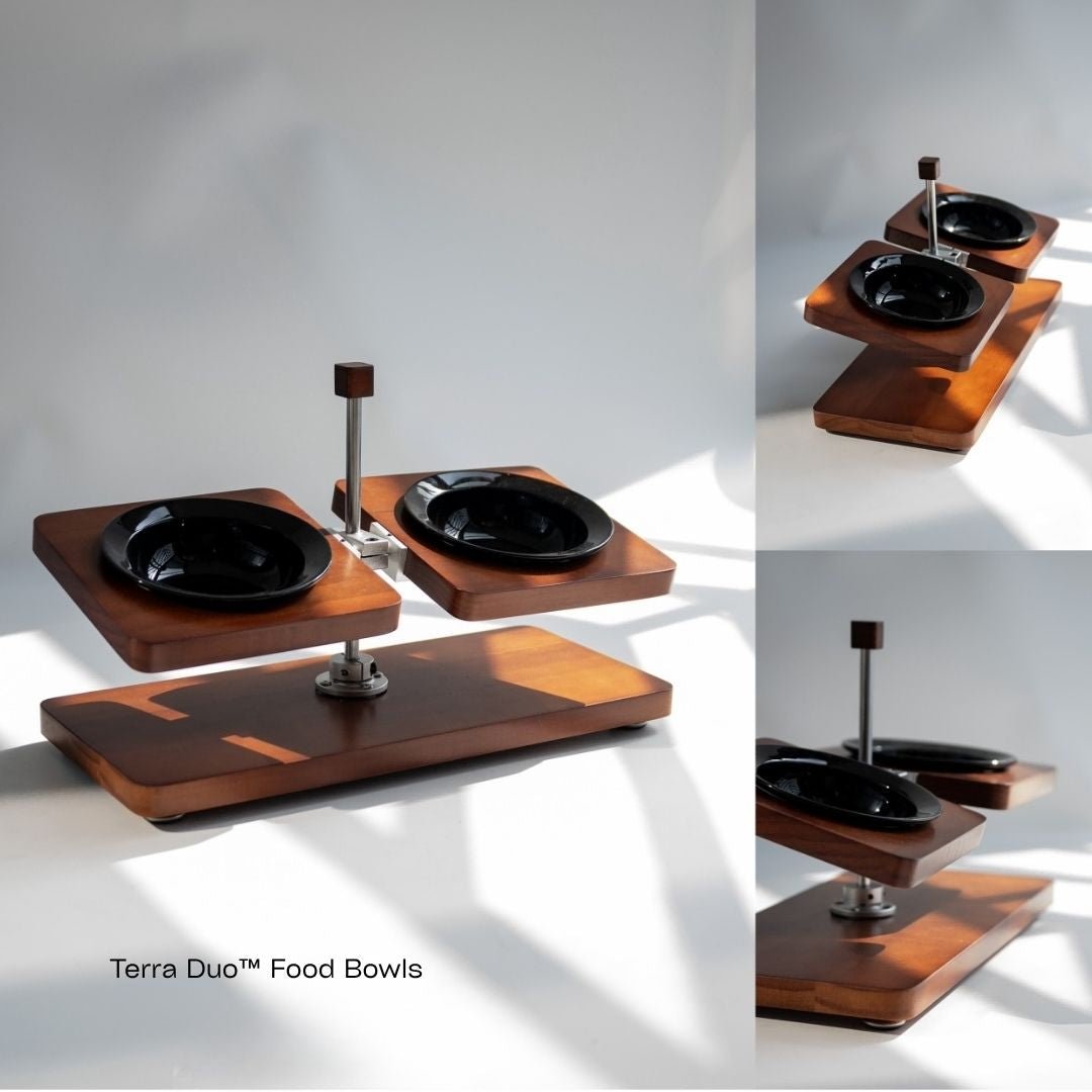Terra™ Food Grade Bowl - coolify design