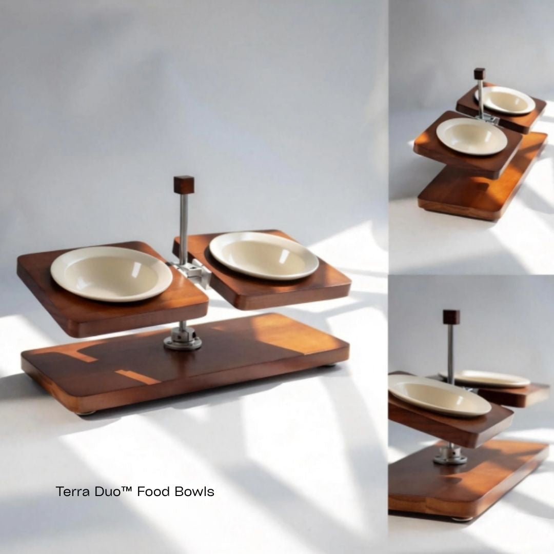 Terra™ Food Grade Bowl - coolify design