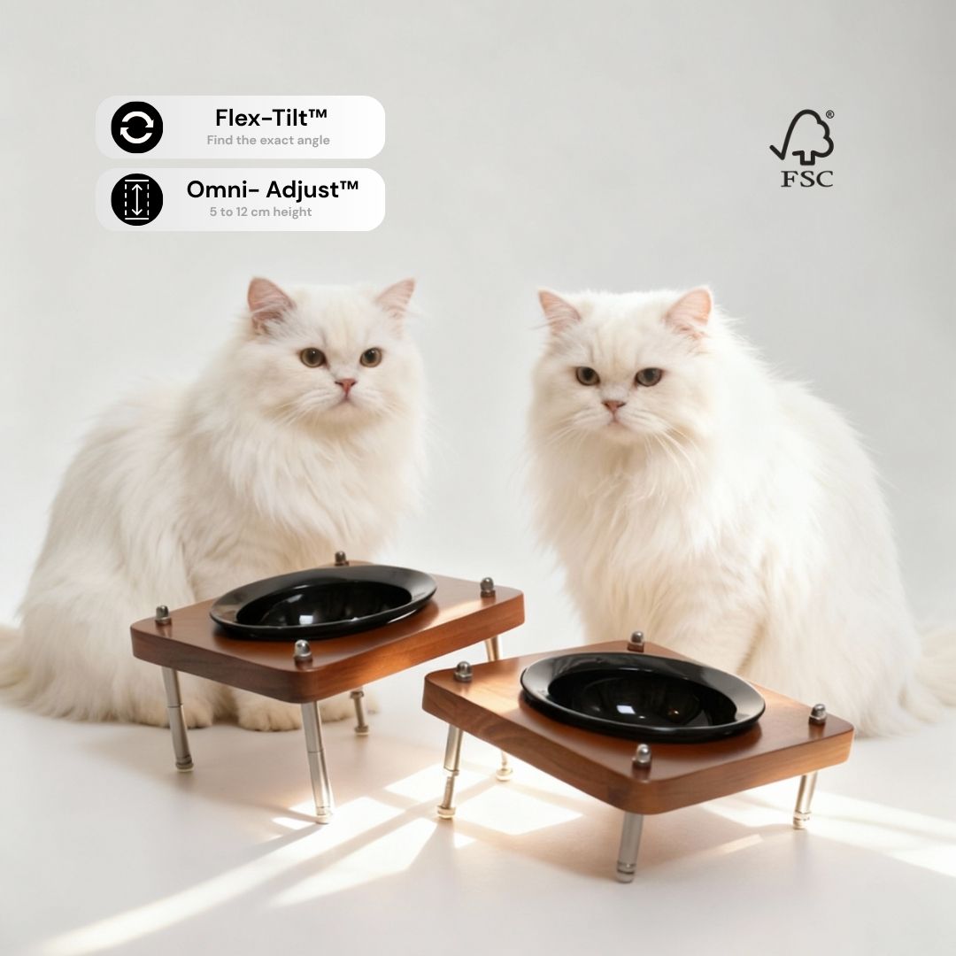 Terra Single™ Food Bowl - coolify design