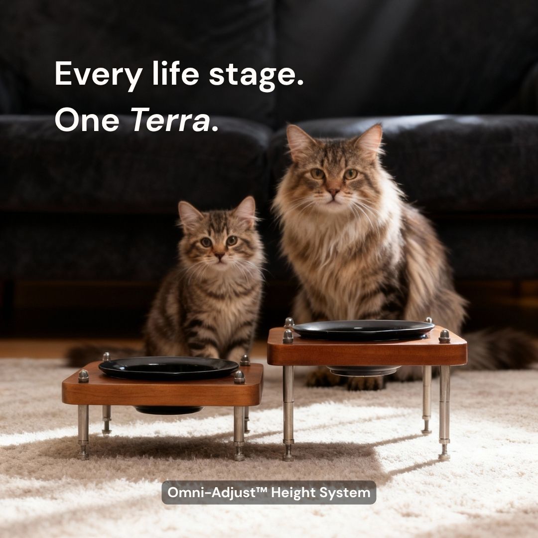 Terra Single™ Food Bowl - coolify design